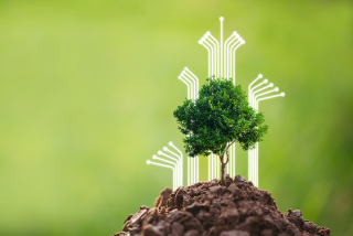 Effiziente Präzision