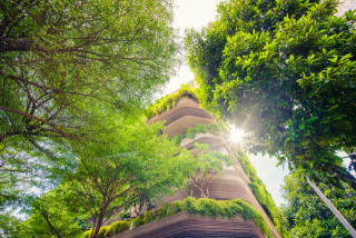 Digitale Lösungen mit Mehrwert